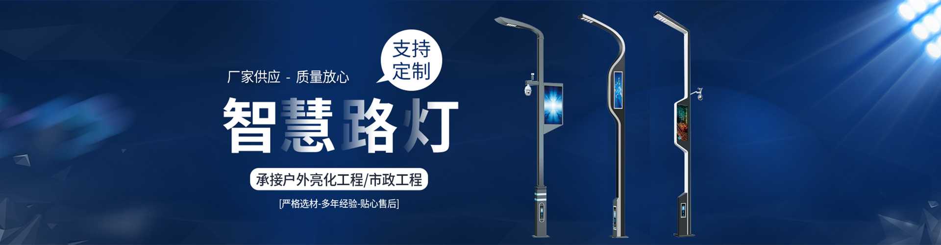 阜新市太阳能路灯定制厂家
