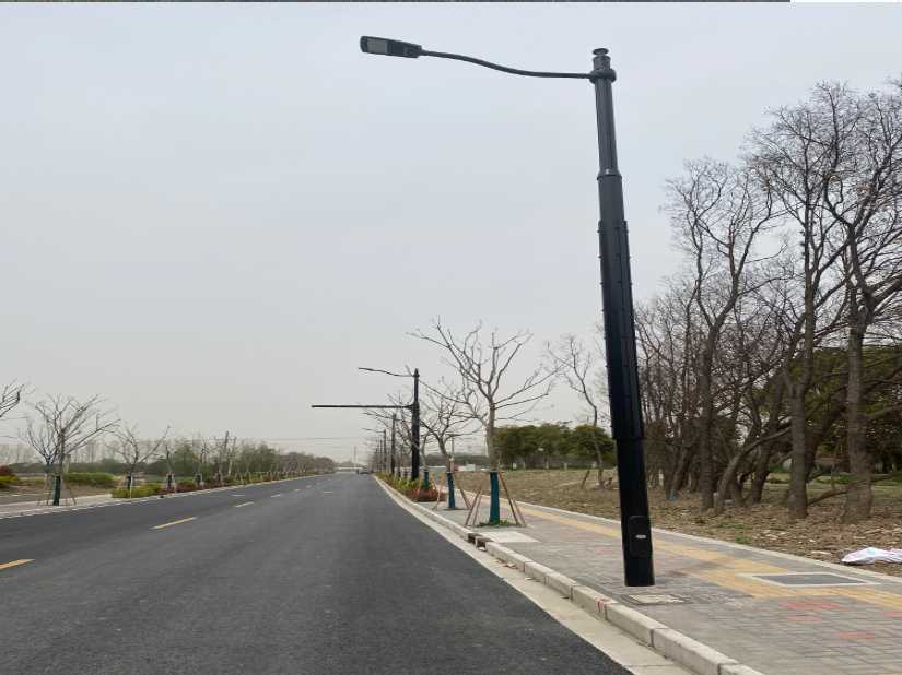 阜新市上海综合杆 太阳能路灯工程